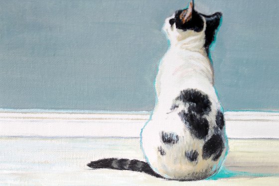 Gallery Cat #5