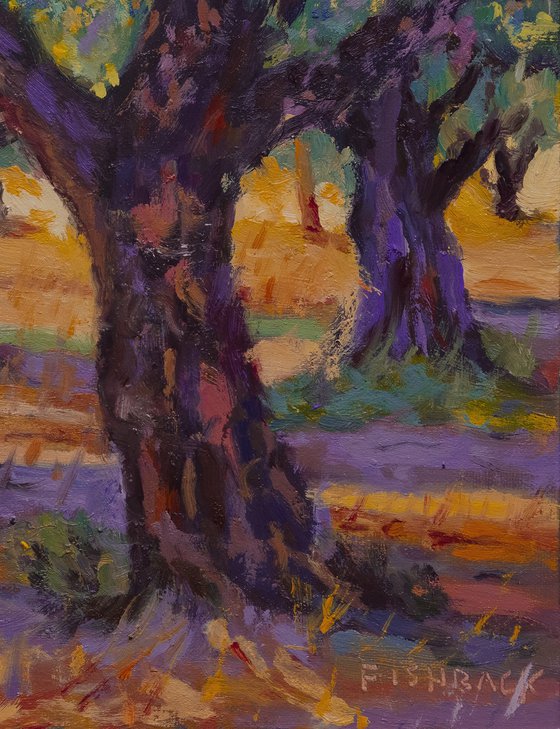 Olive Tree Grove