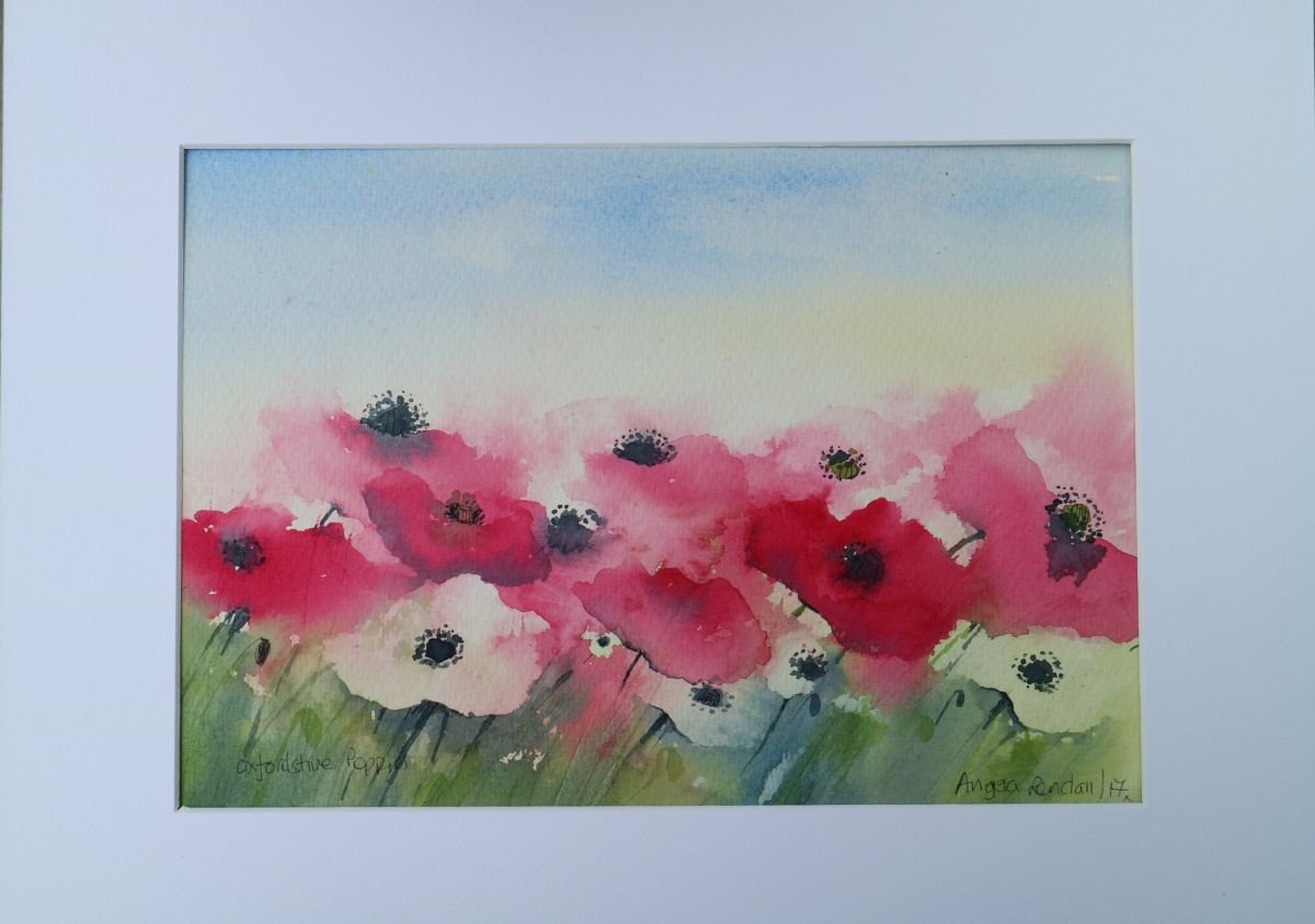 Provence Poppies by Angela Rendall