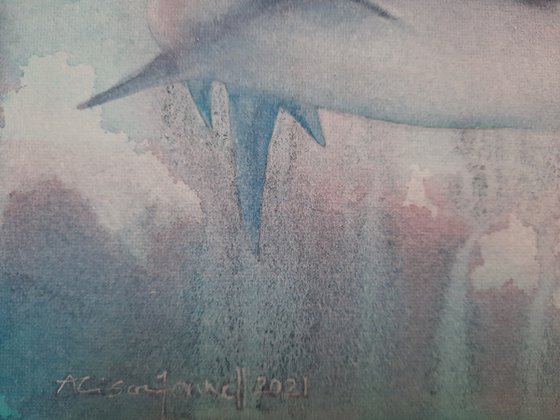 Original Watercolour Shark Painting