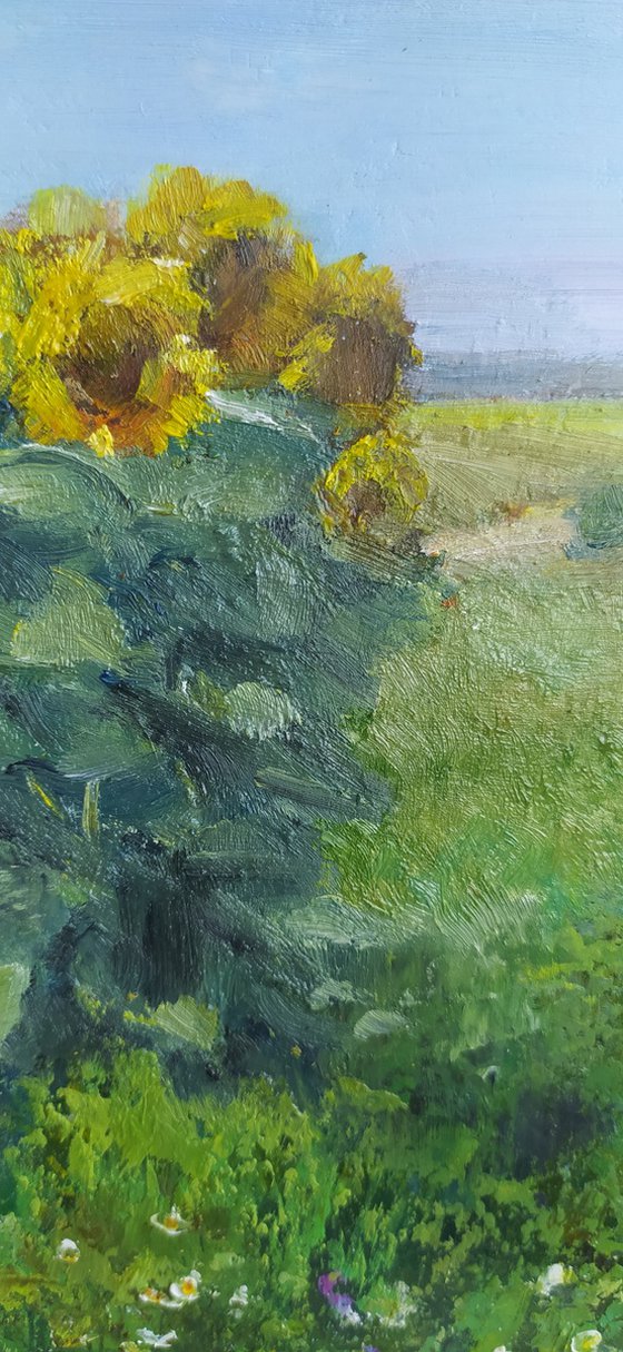 Landscape with sunflowers