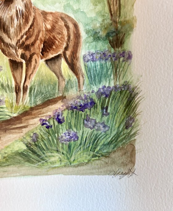 “Whispers of the woodland 3.0”