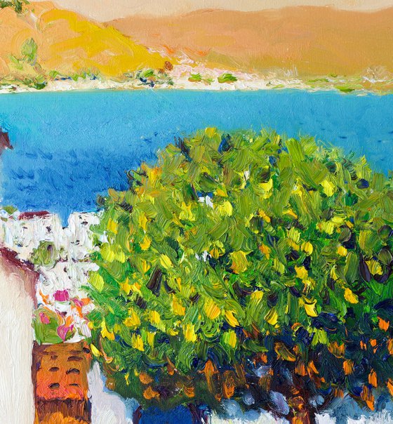 Lemon Tree on the Greek Island