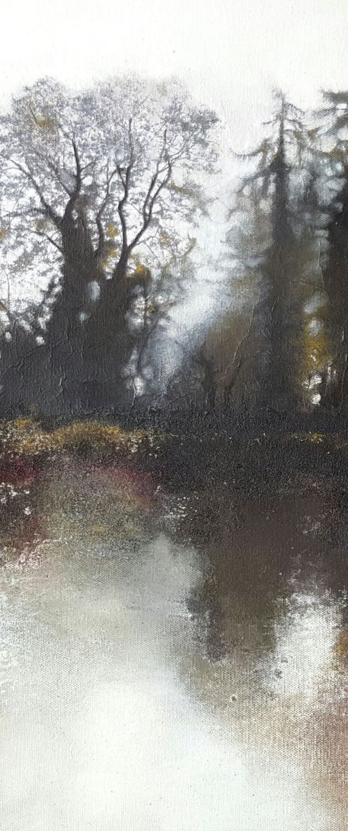 Woodland Secrets by Isabelle Amante
