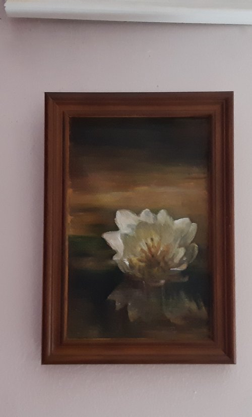 water lily by Viktória Déri