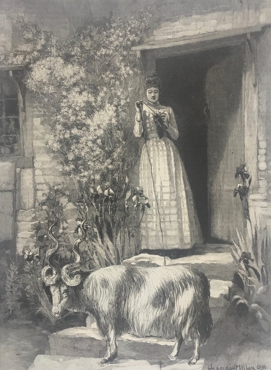 Surrealistic Animal Collage By Tudor Evans, 7 X 9", Knitting Outside, Original Artwork