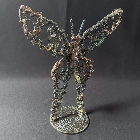 Butterfly 56-25