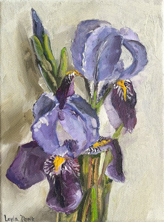 Purple irises