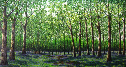 Artwork by Hazel Thomson