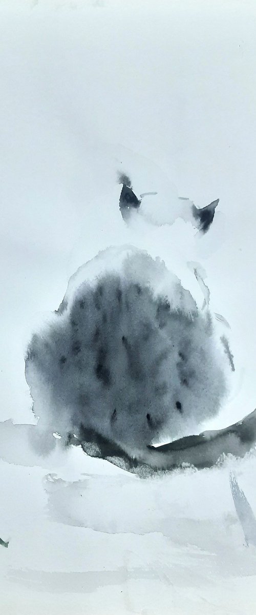 The Grey Tabby kitten by Asha Shenoy