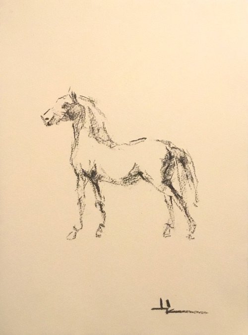 Horse Study inspired by Gericault by Dominique Dève