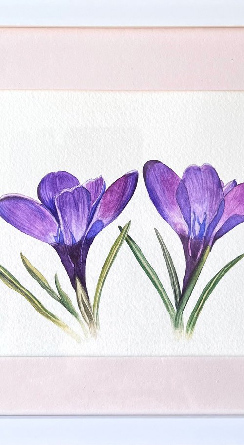 Crocuses by Tetiana Kovalova