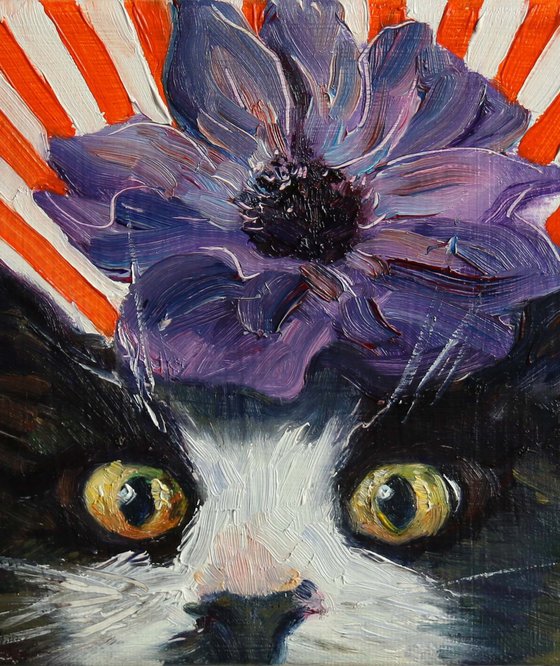 Cat with anemone