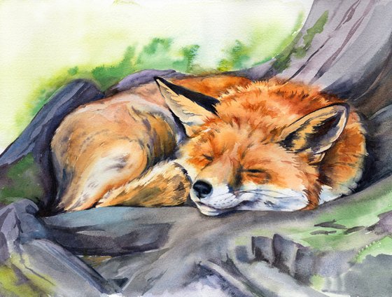 Sleeping Fox