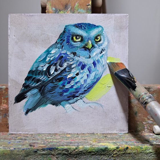 Owl bird blue