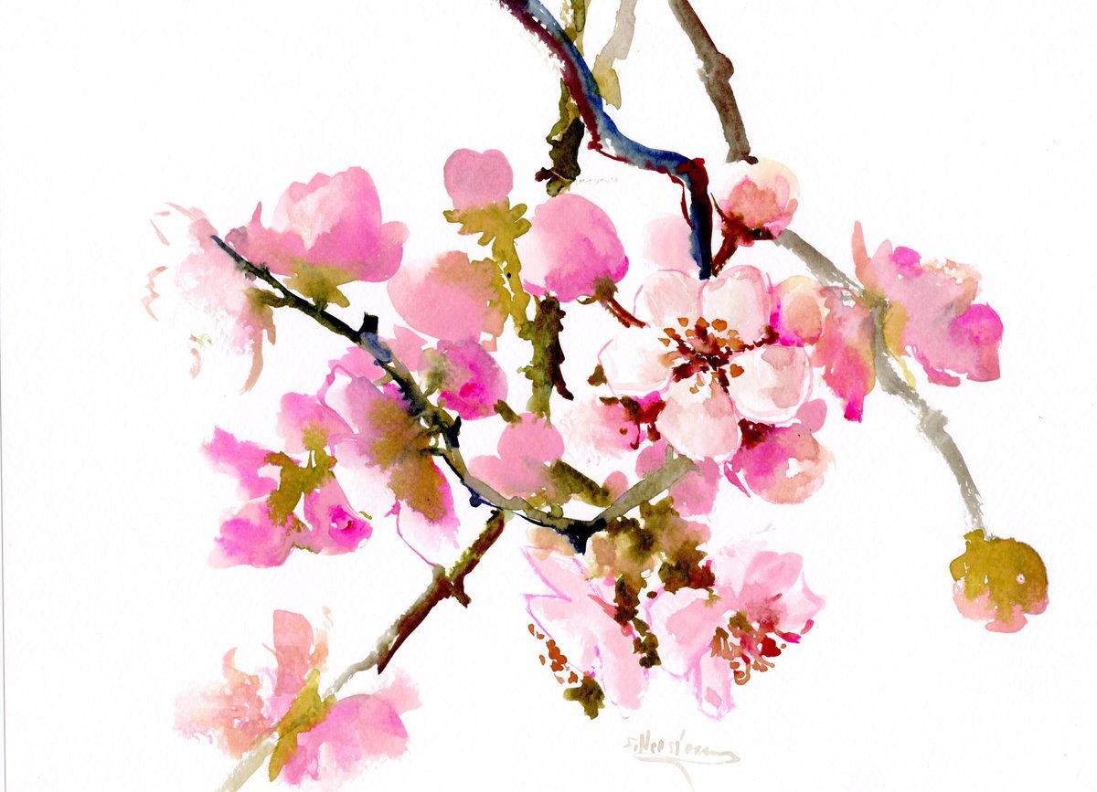 Cherry Blossom, sakura Watercolour by Suren Nersisyan | Artfinder
