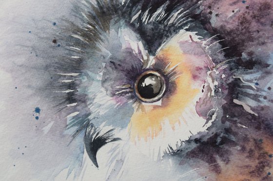 'Owl'