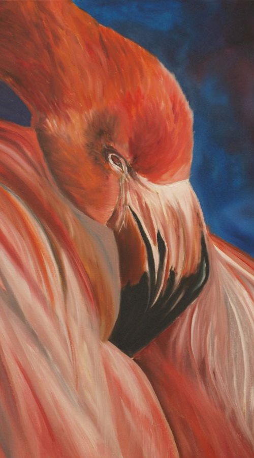 Red flamingo by Timea  Valsami