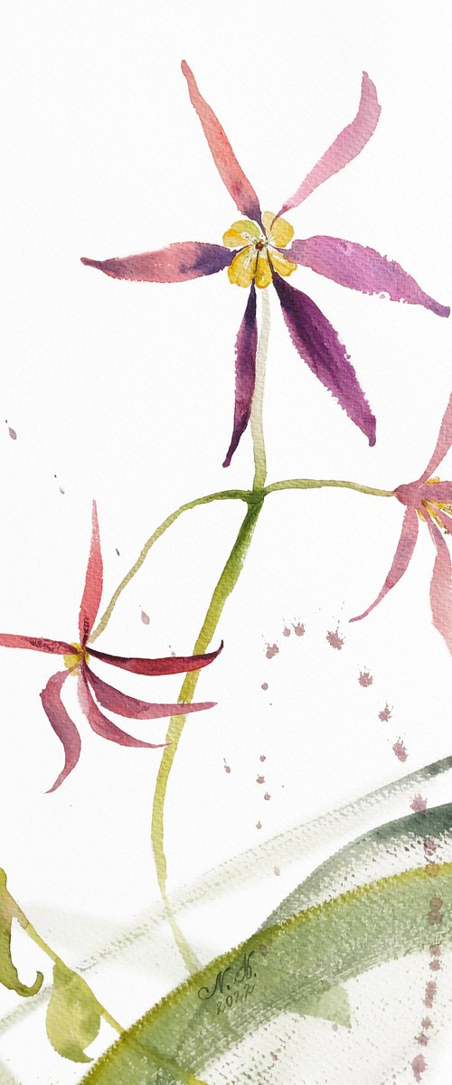 Sensuality. Floral shades. A series of abstract original watercolours. by Nataliia Kupchyk