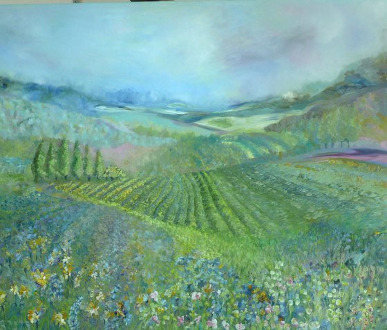 Lavender in Provence 2025