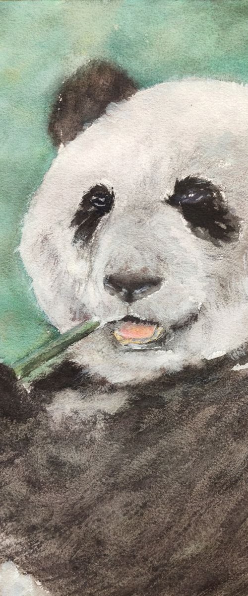 bamboo delicacy by Ksenia Lutsenko