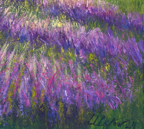 Sunrise at lavender field