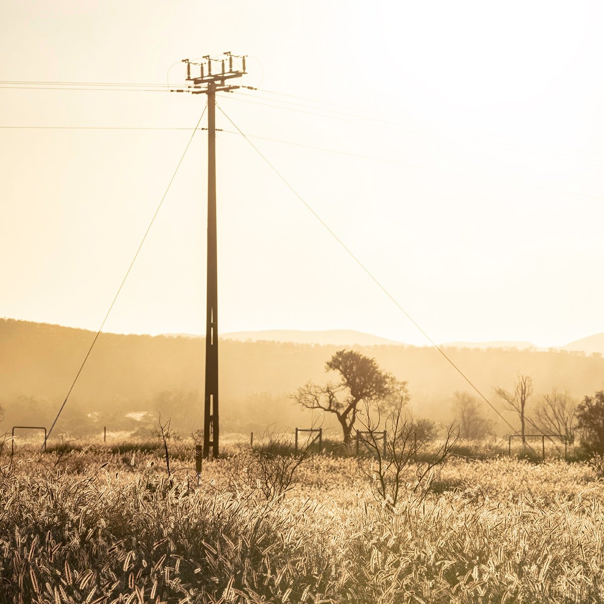 Grass Plains Outback Australia #3 by Nick Psomiadis