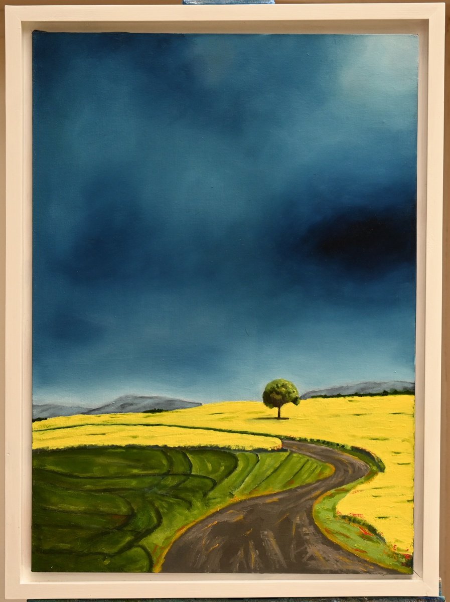 Field of Yellow by Mike Dudfield