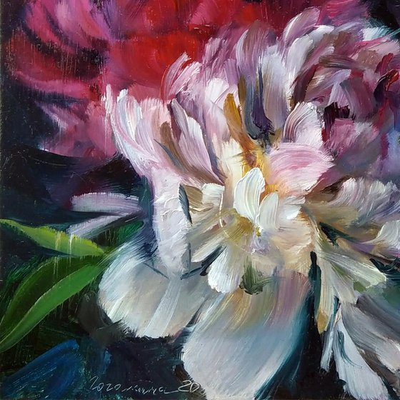Peony couple