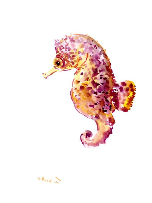 Little seahorse by Suren Nersisyan