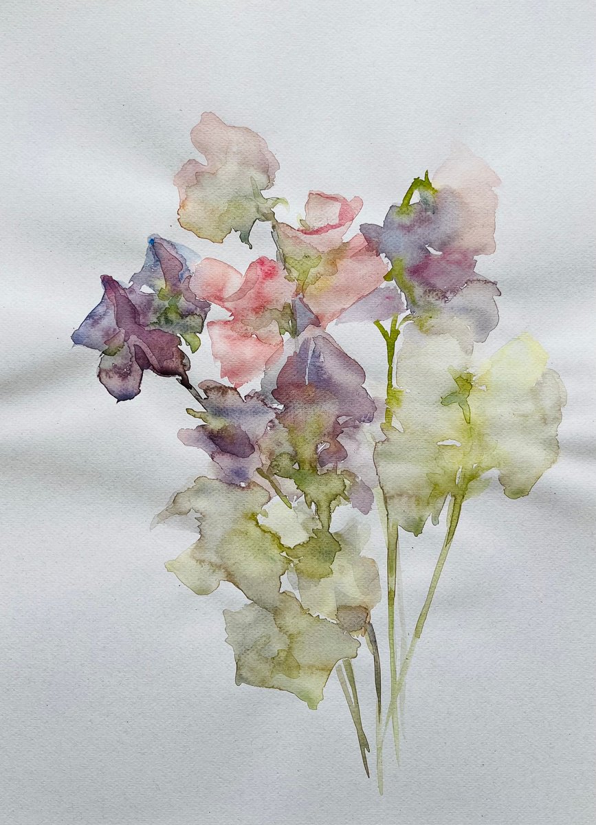 Impressionistic Still Life Watercolour By Elena Klyan, 11 X 16, Sweet Pea 11,4X15,7 In, Original Artwork