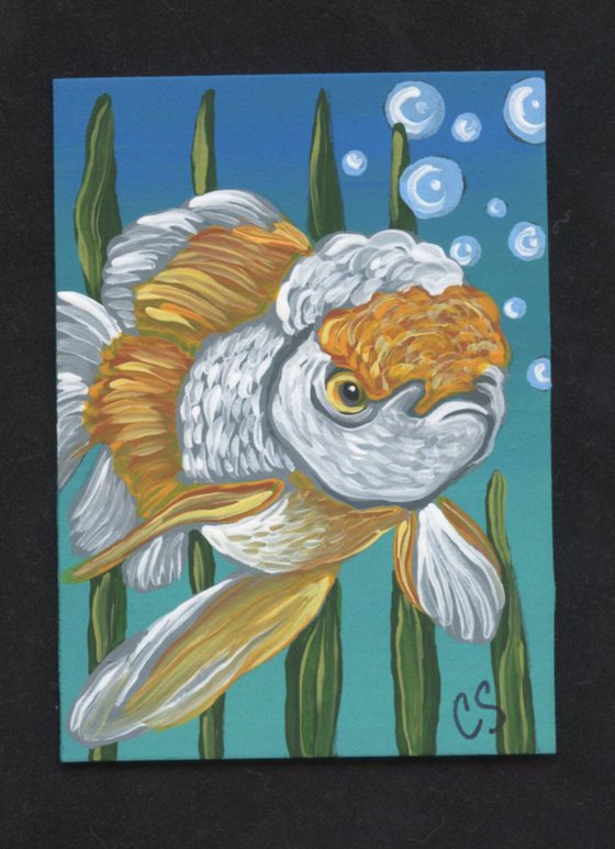 ACEO ATC Original Painting Oranda Goldfish Pet Fish Art-Carla Smale