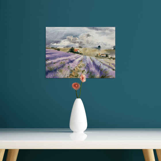 Lavender field and clouds