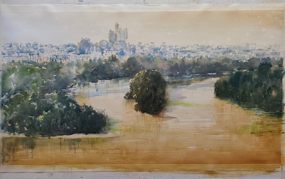 Pogled na ušće - zeleno i zlatno