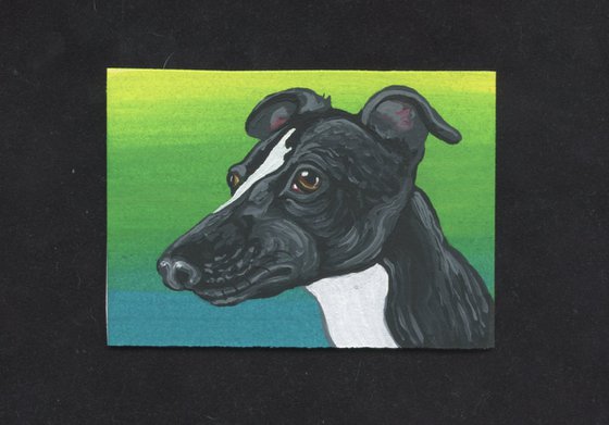 ACEO ATC Original Miniature Painting  Greyhound Whippet Pet Dog Art-Carla Smale