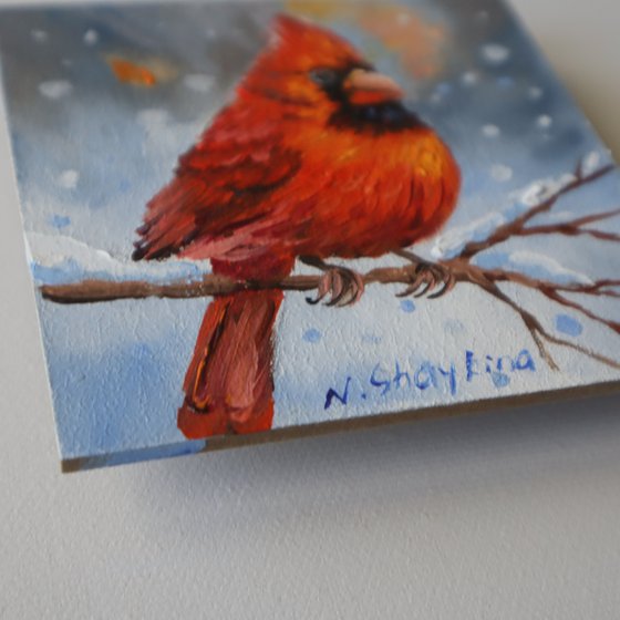 Cardinal and Robin, Set 2