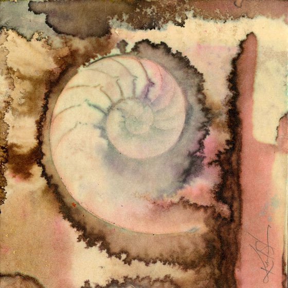 Nature's Tranquility 3 - Abstract Nautilus Shell Painting