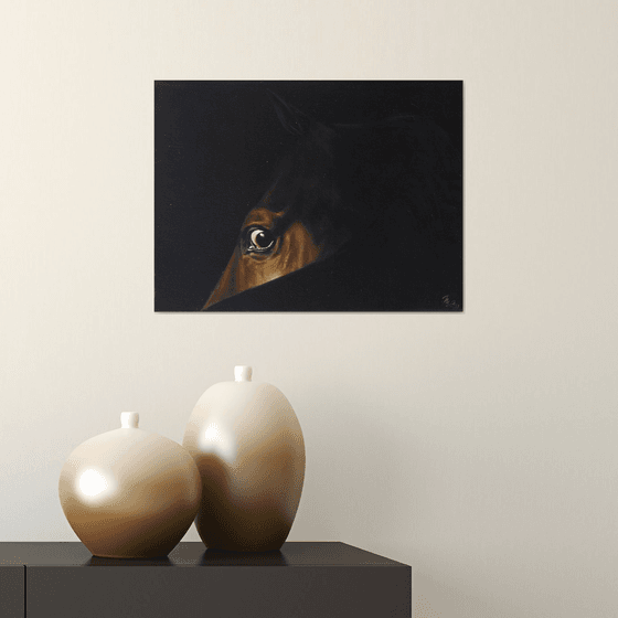 horse eye