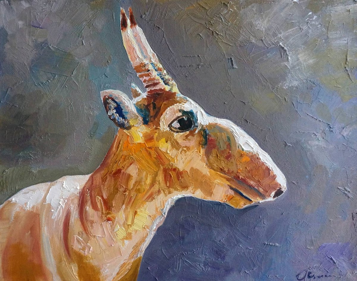 Saiga by Ekaterina Mitrofanova