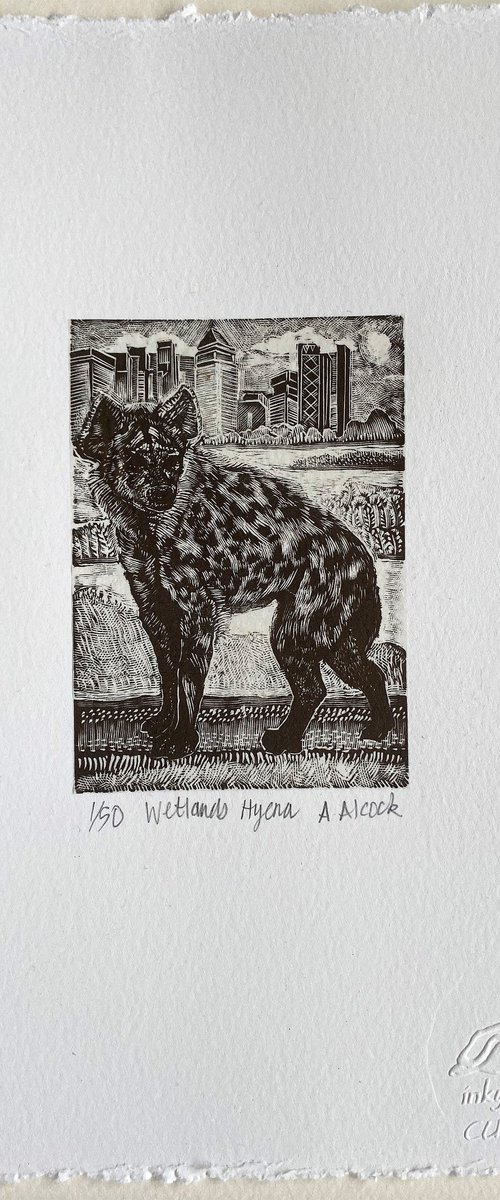 Wetlands Hyena by Anna Alcock