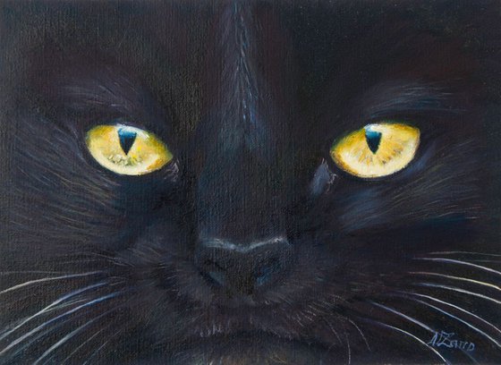 Black Cat