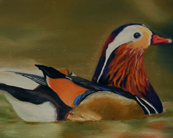Colored Waterfowl
