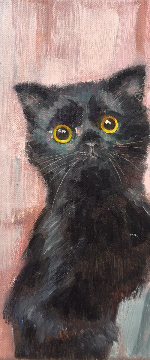 Little black cat by Olha Laptieva