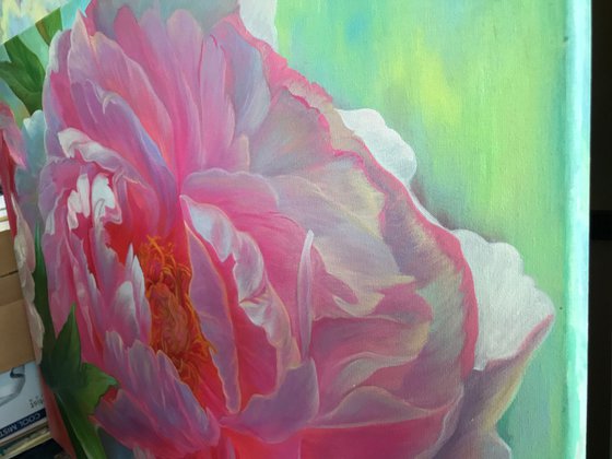 Peony on the sun