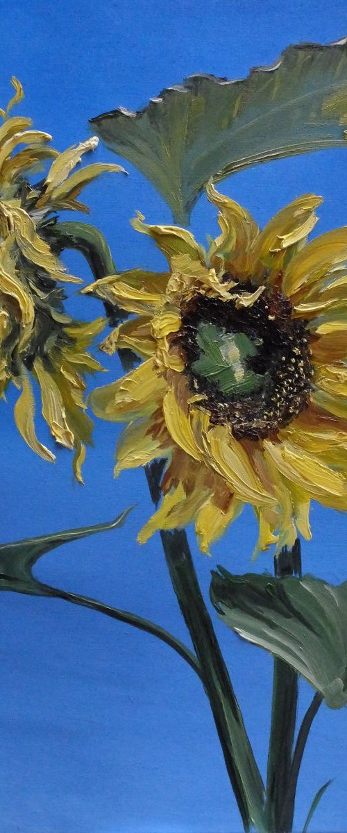 Sunflowers by Valeriia Radziievska