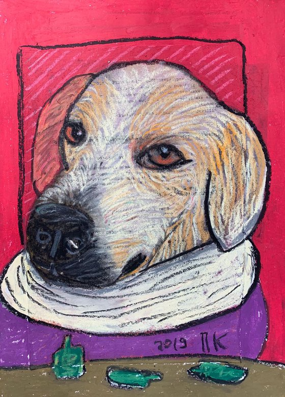 Drinking dog #51
