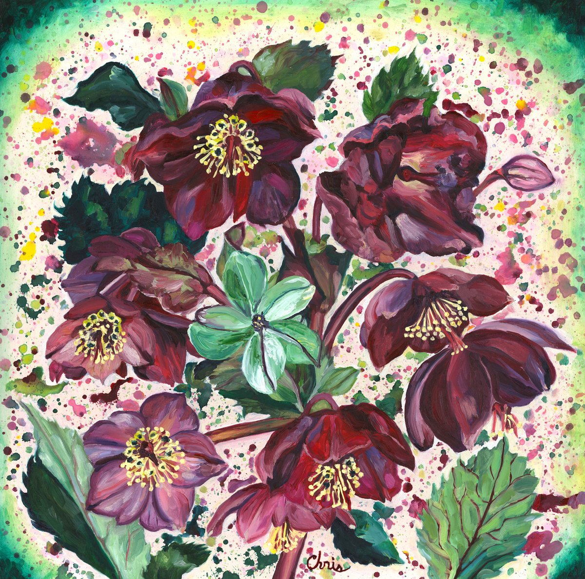 Illustrative Botanical Oil Painting By Christina M Plichta, 23 X 23, Lenten Rose Cluster, Original Artwork