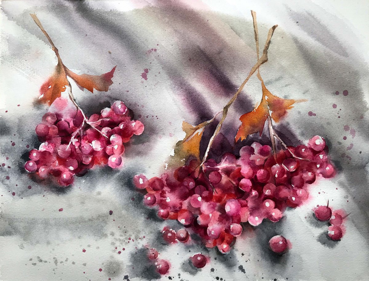 Red viburnum berries. one of a kind, original work, watercolour by Galina Poloz