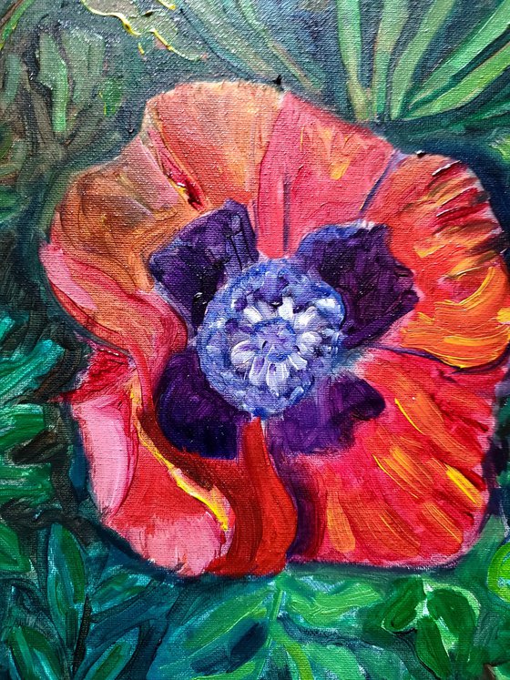 Red Poppies original oil painting