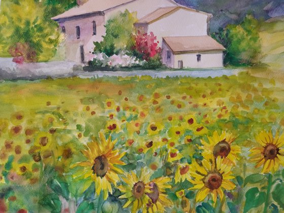 Sunflower field - Landscape - Watercolor